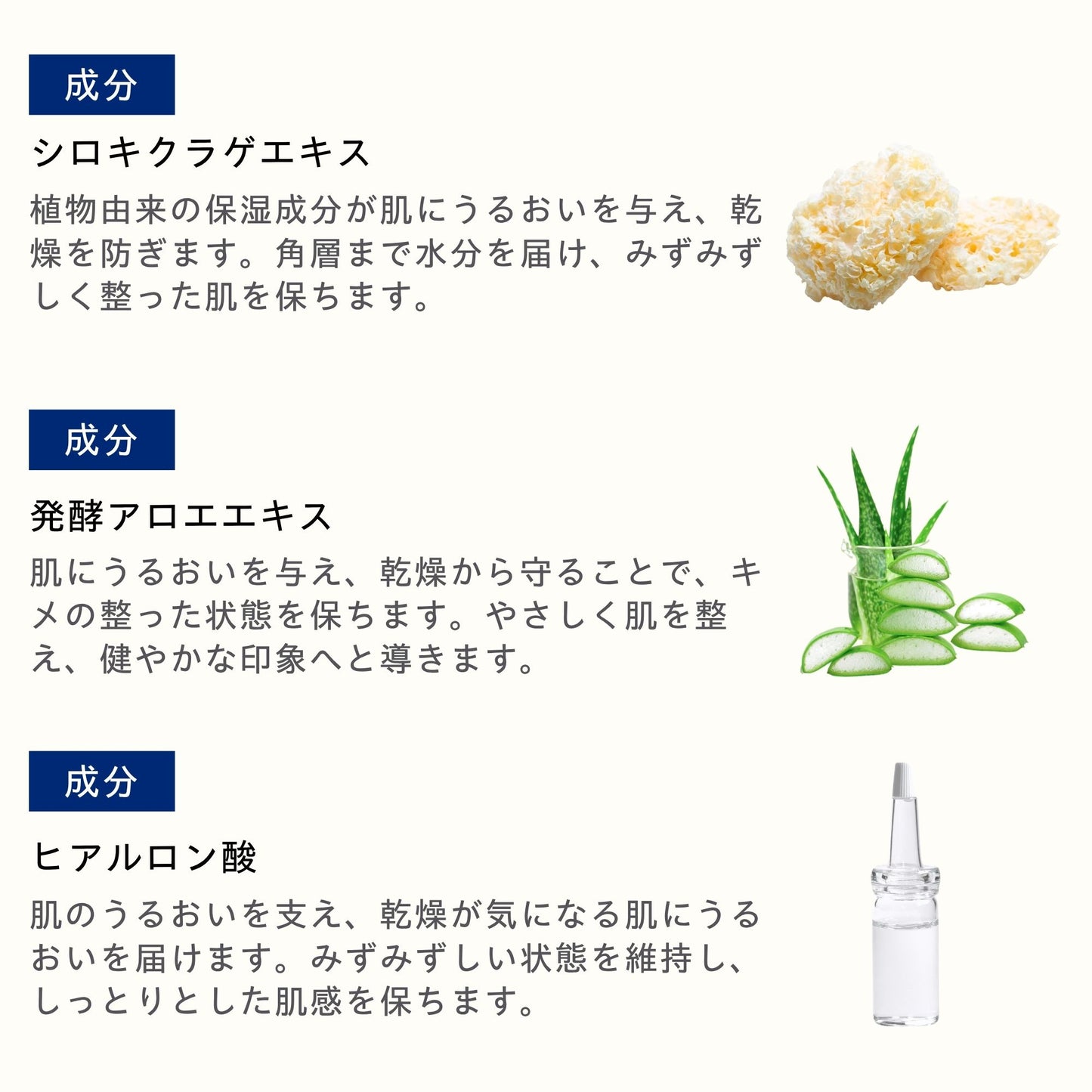 AGT ハイドロエッセンス 100ml
