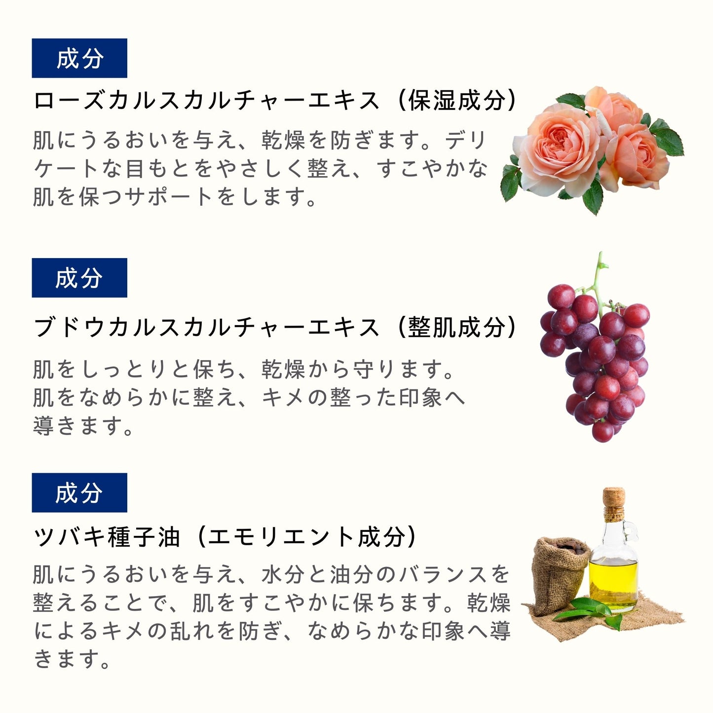 アイクリーム 25ml