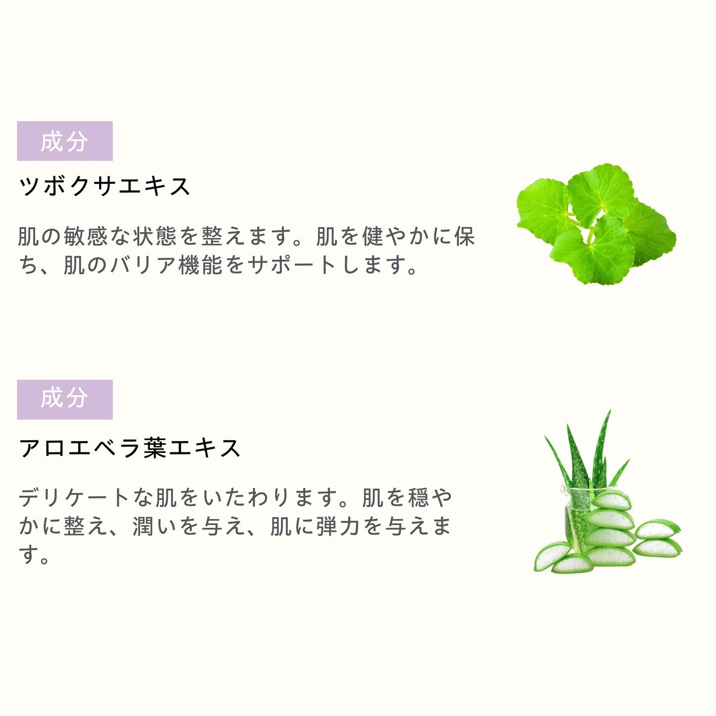 CICA SENトナー 150ml