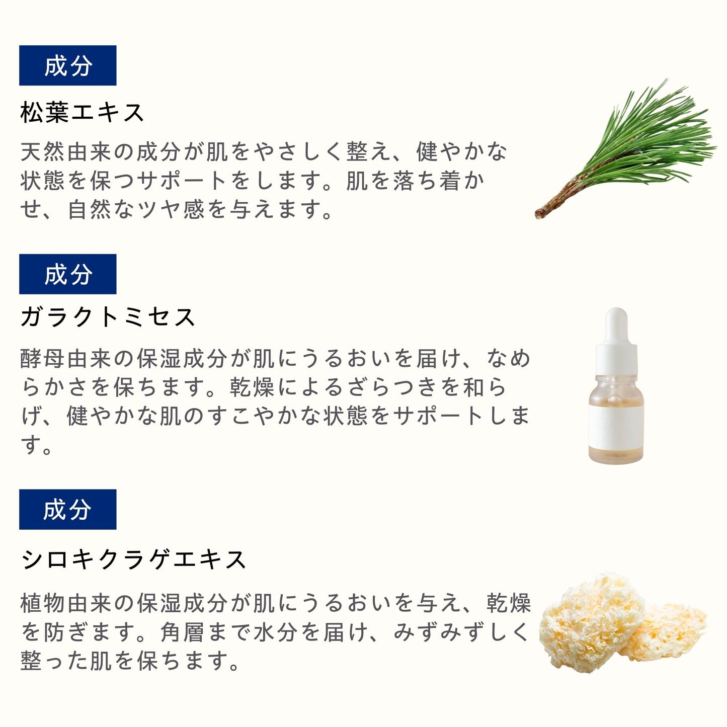 エナジークリーム 125ml