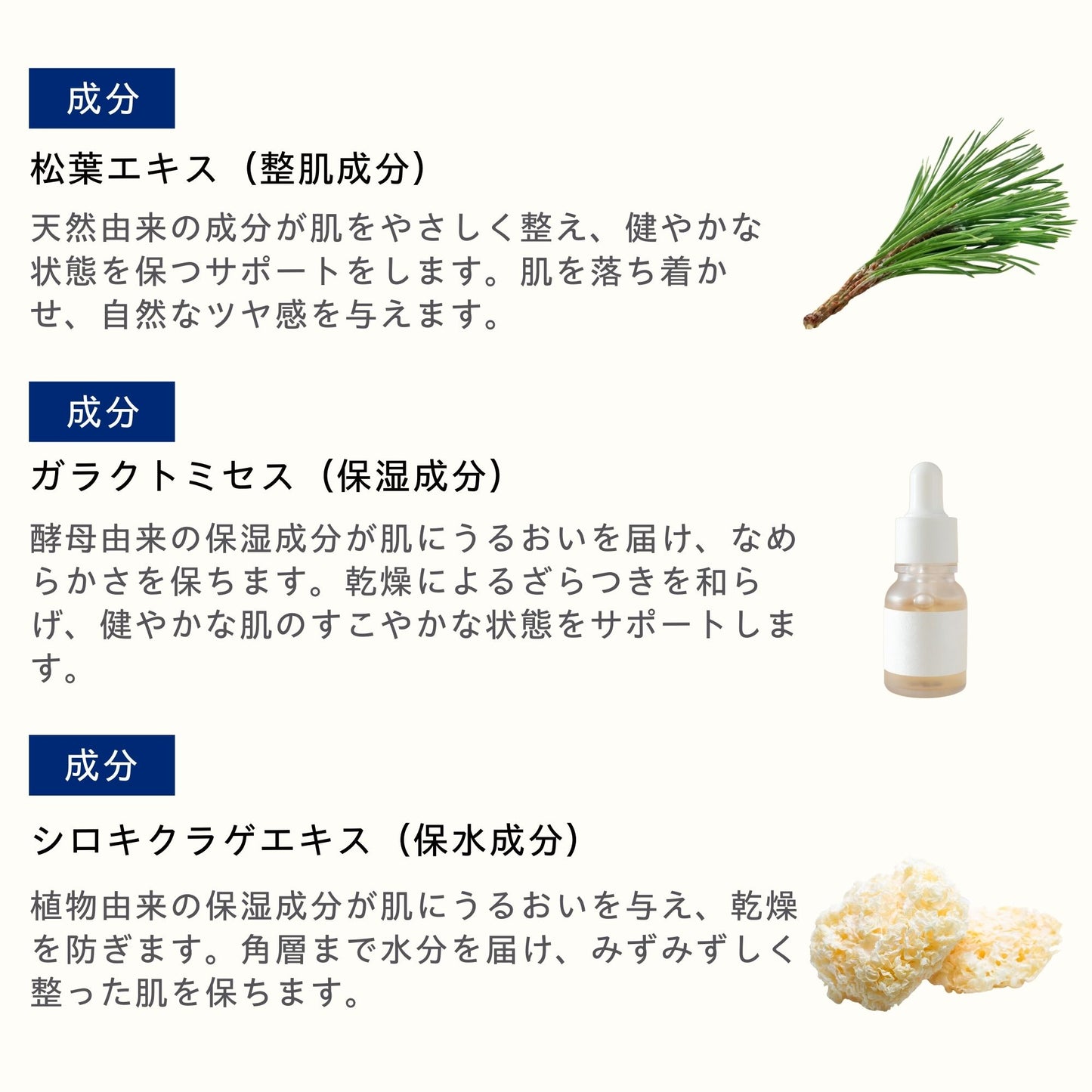エナジークリーム 125ml