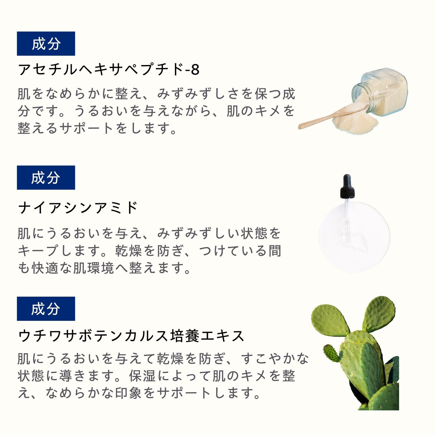 インテンス UV プロテクタークリーム 50ml