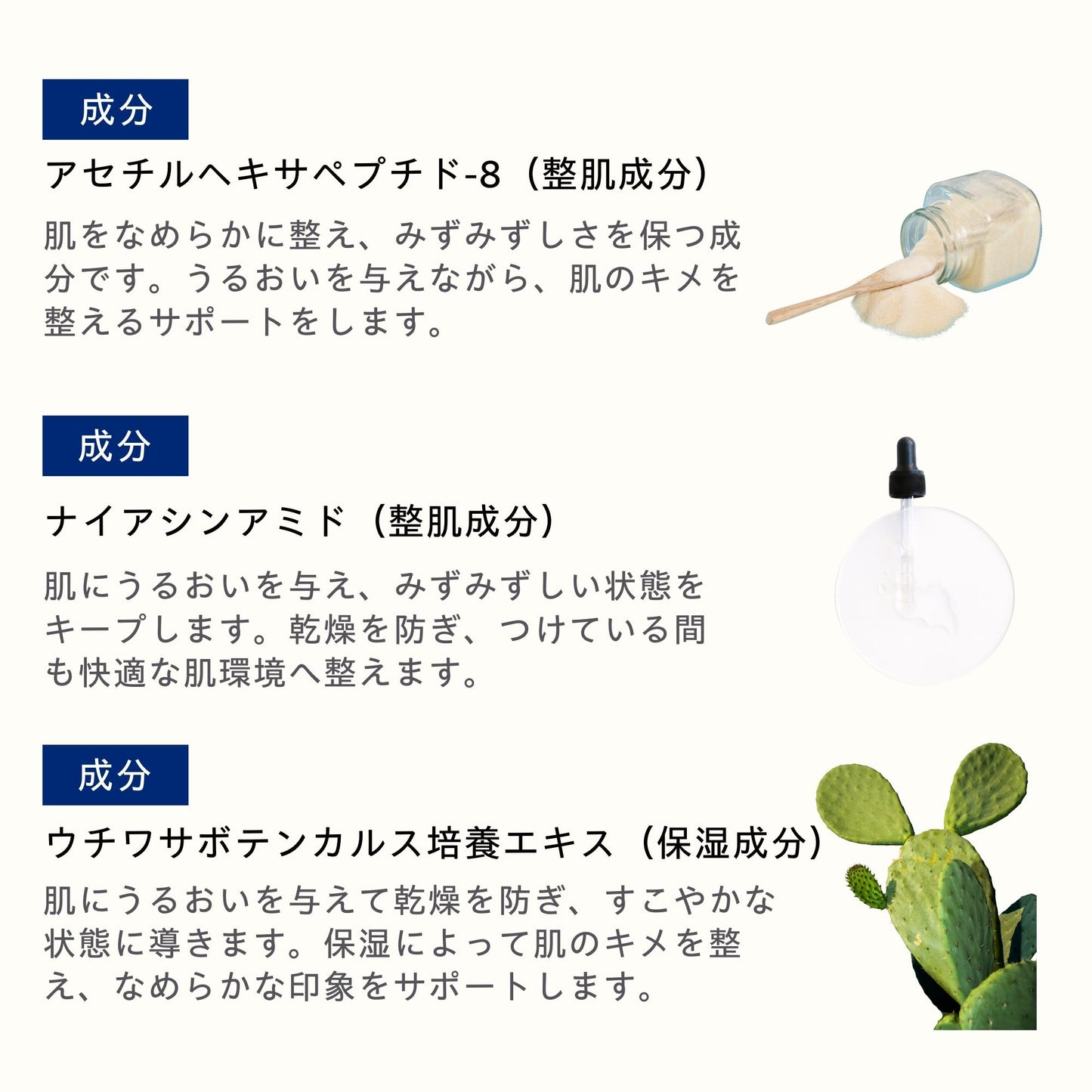 インテンス UV プロテクタークリーム 50ml