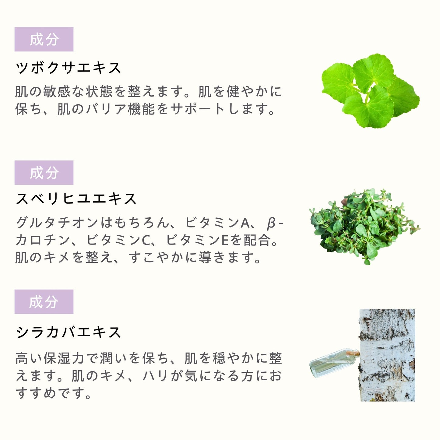 リニュー
