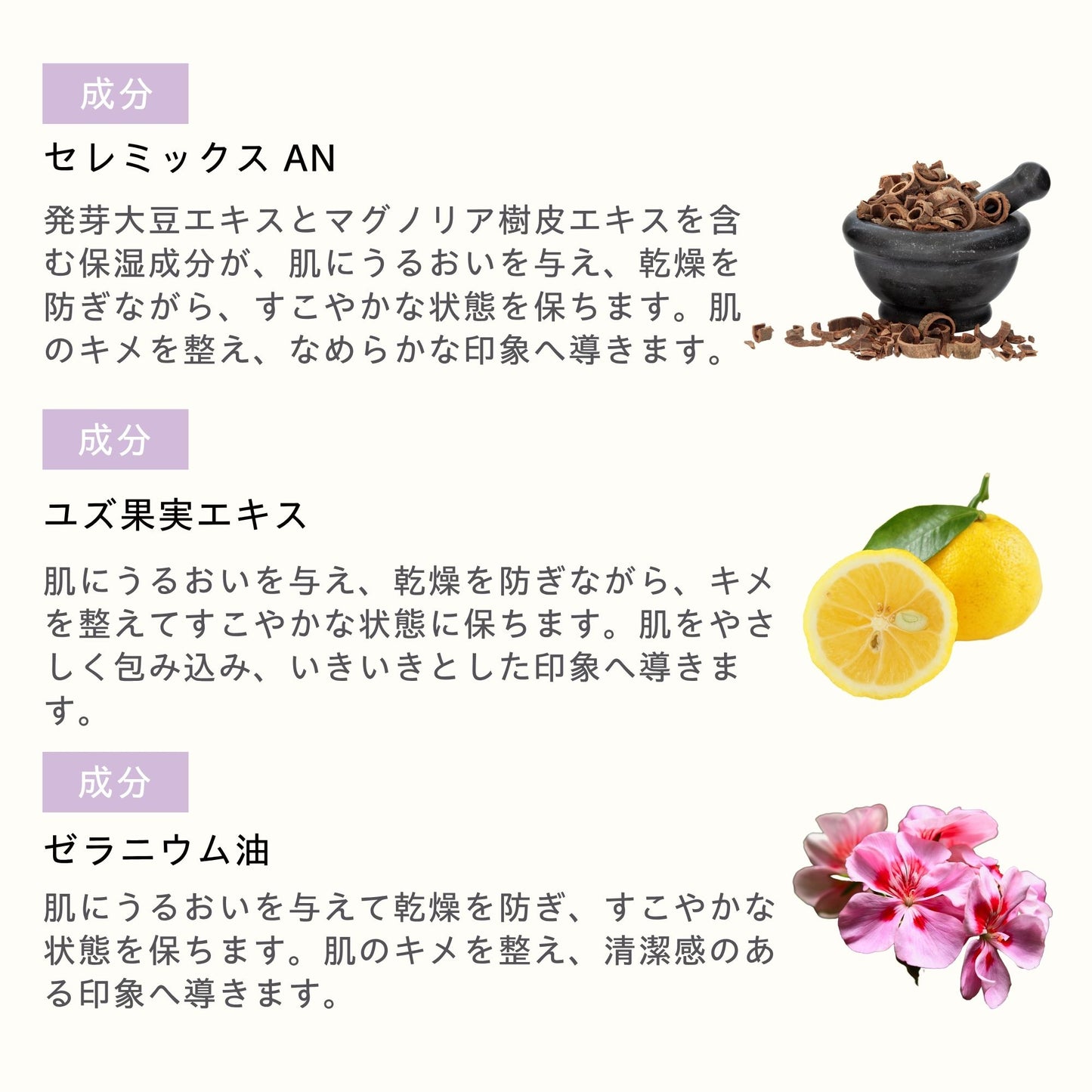 セレミックス セラム 40ml