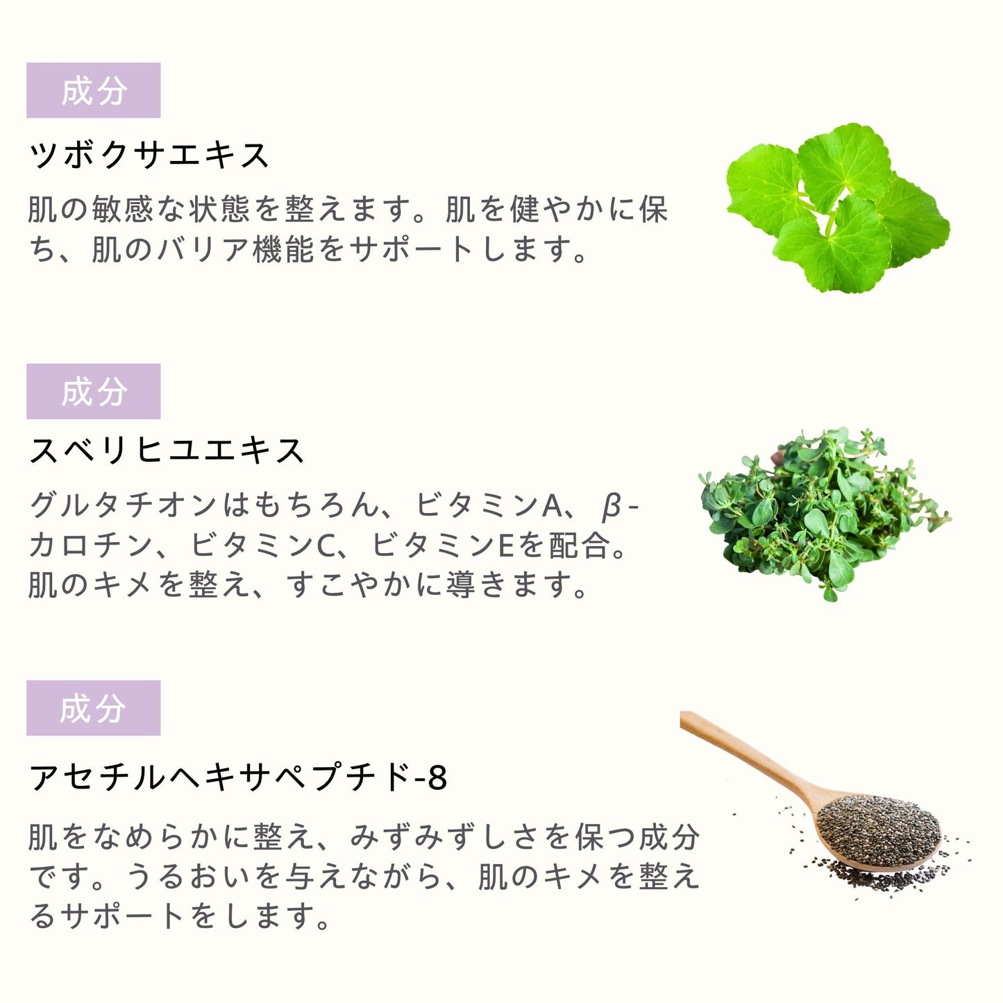 UVプロテクター エッセンス 50ml