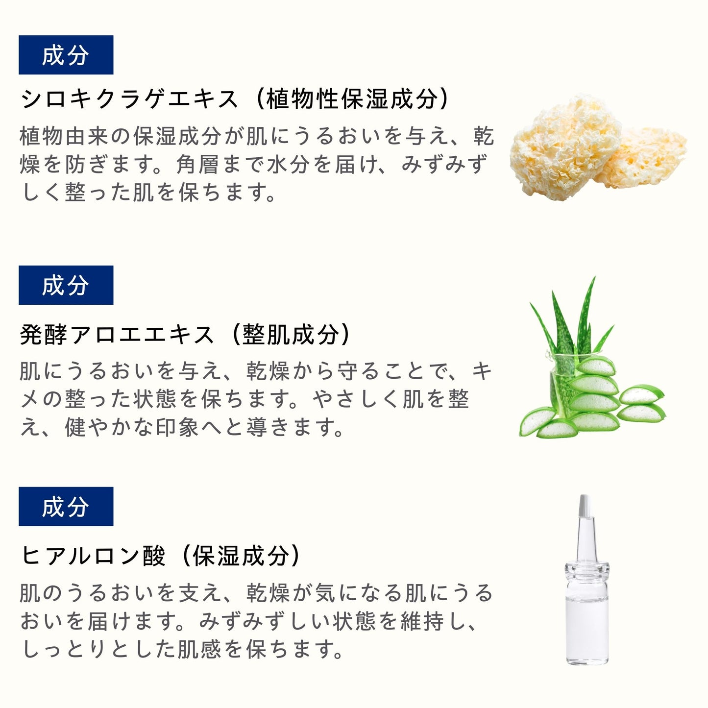 AGT ハイドロエッセンス 100ml