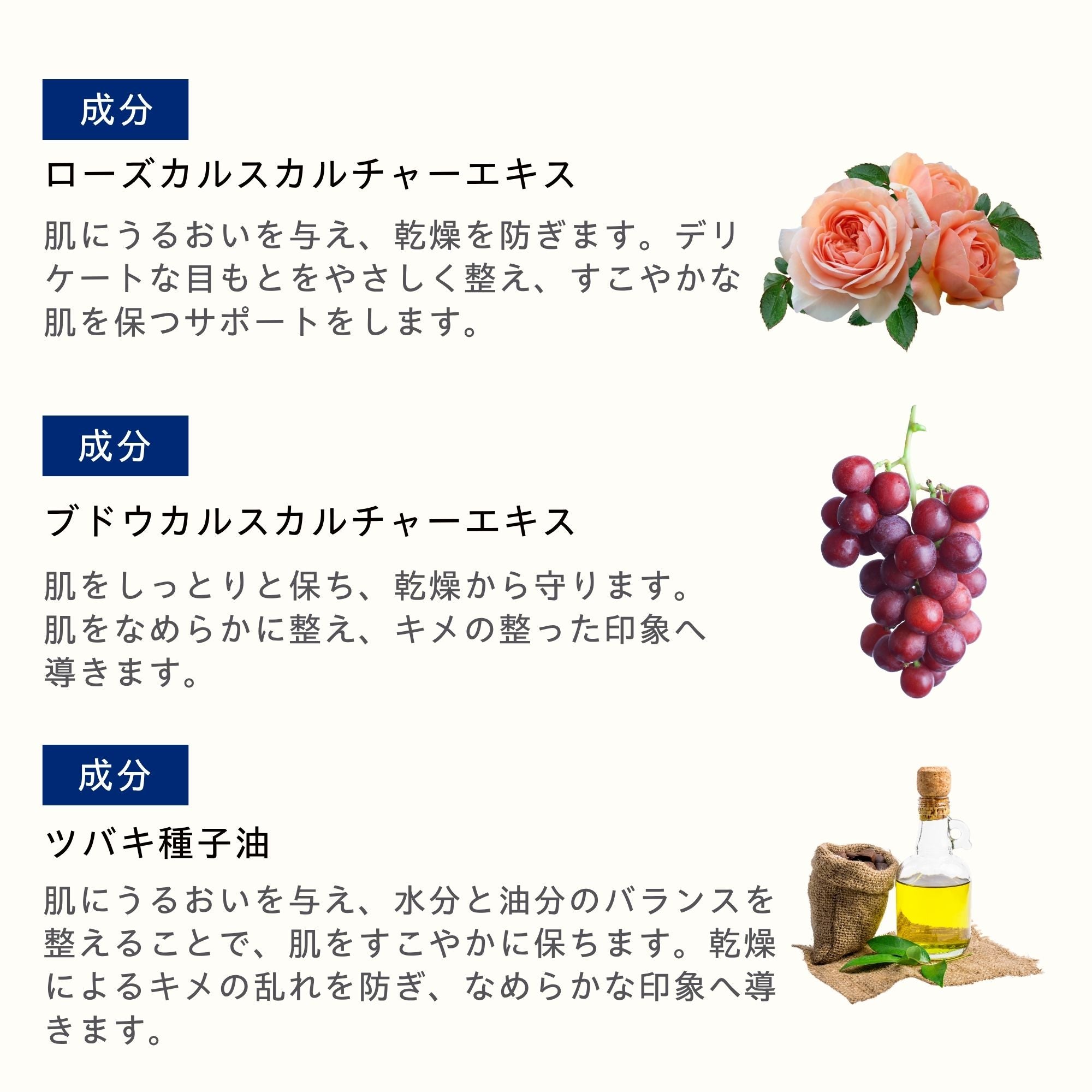 アイクリーム 25ml