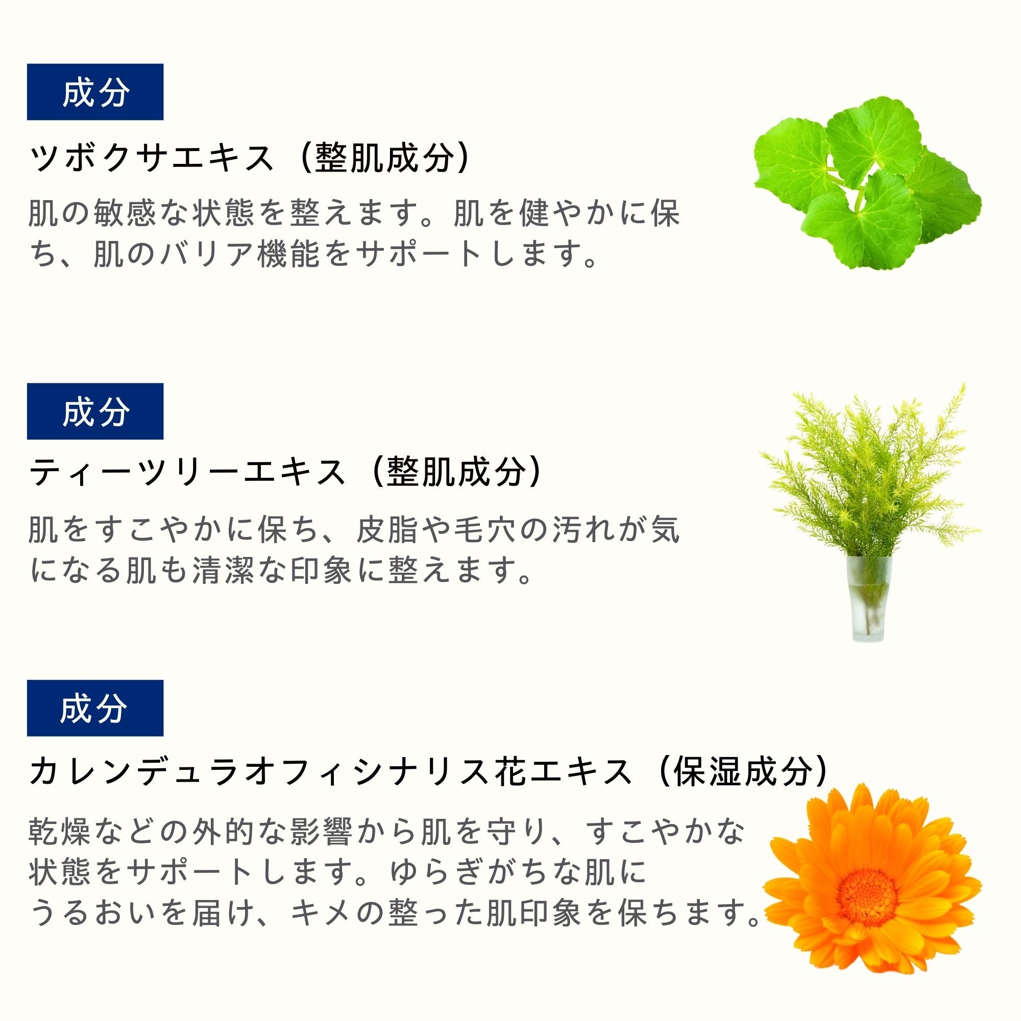 A+ ヒーリング クッション SPF50+ PA++++ – TROIAREUKE公式｜トロイアルケ