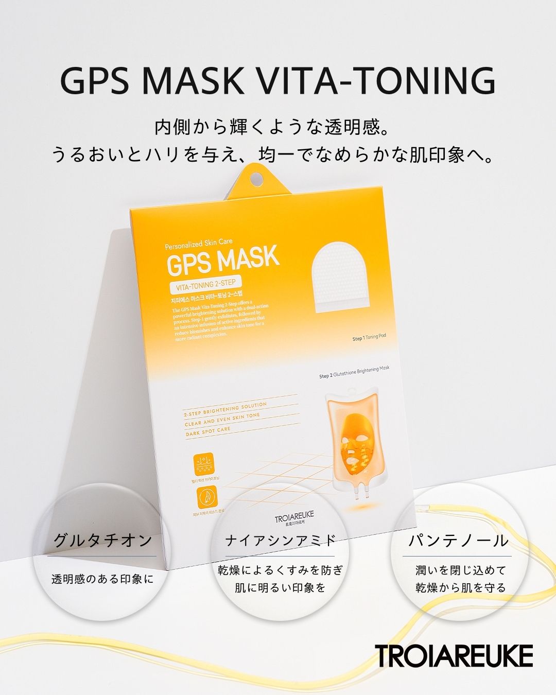 GPSマスク 3枚入り