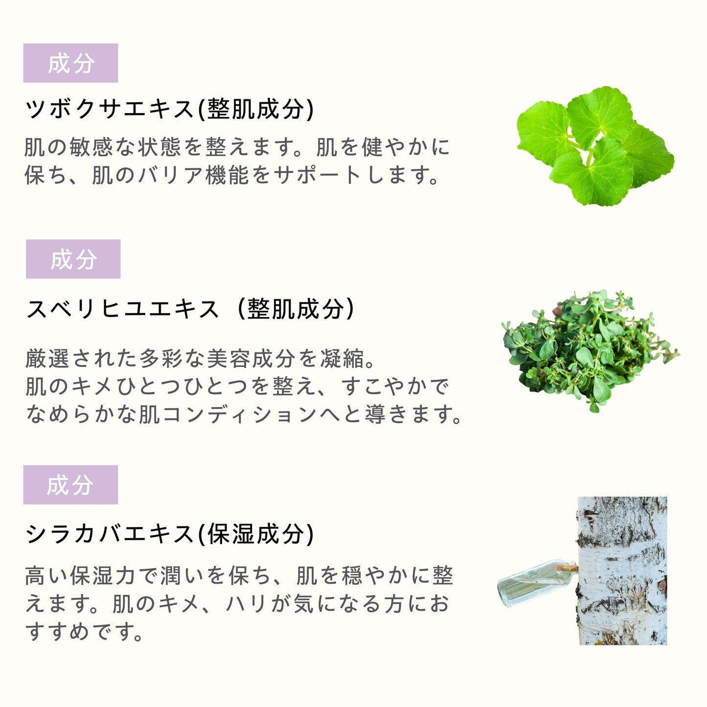 リニュー