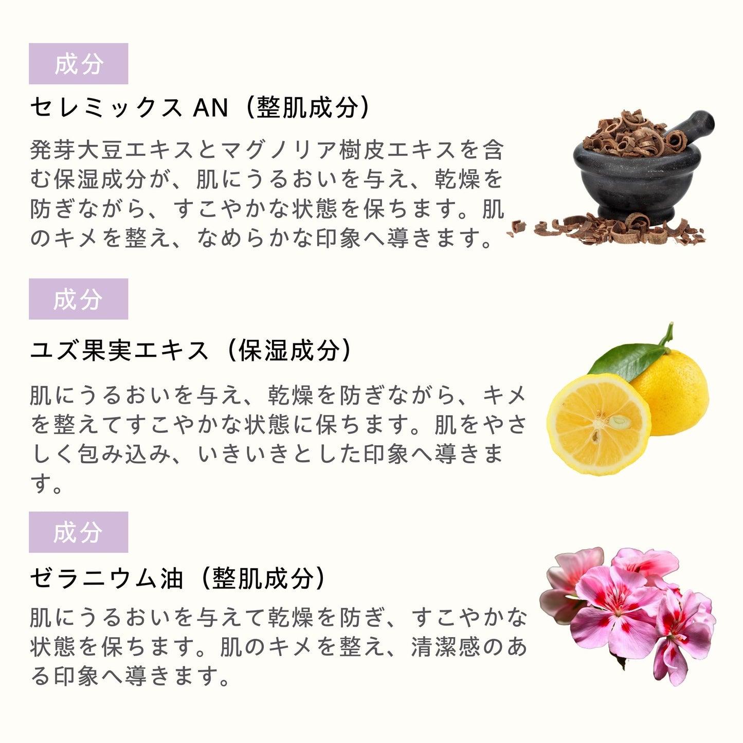 セレミックス セラム 40ml